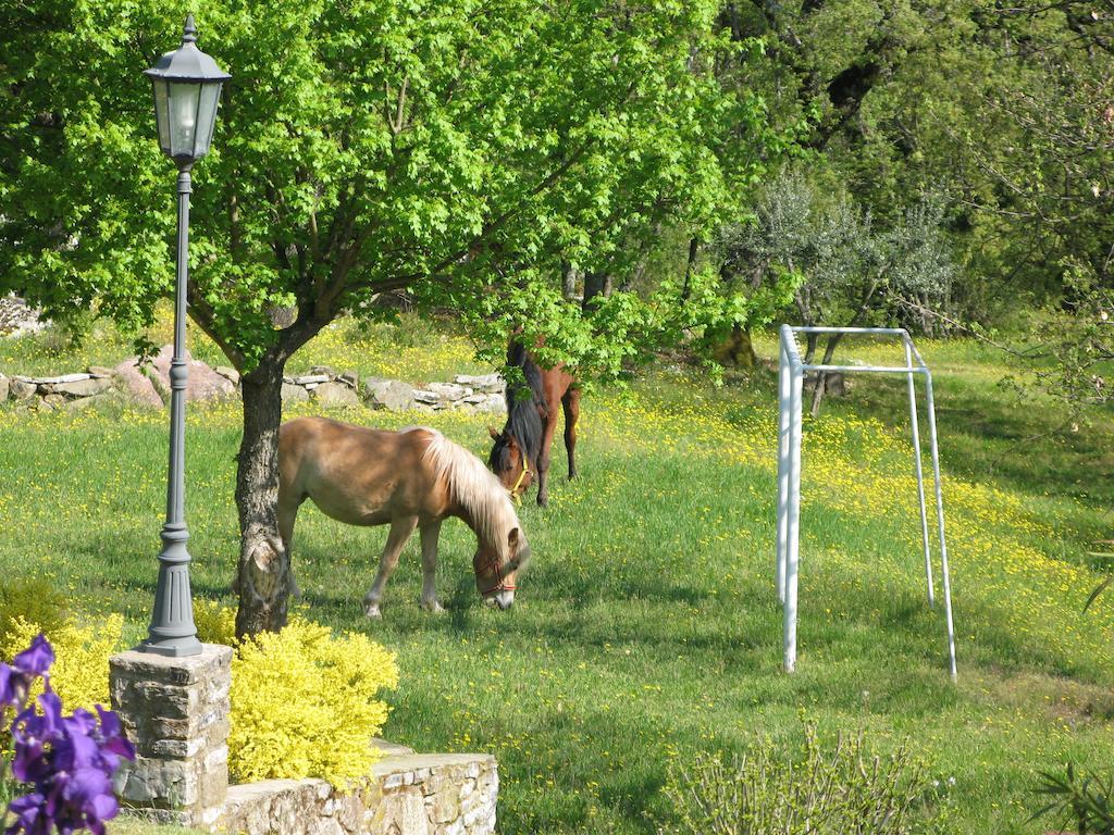 La Ghiandaia Casa Vacanza Lucolena in Chianti Экстерьер фото
