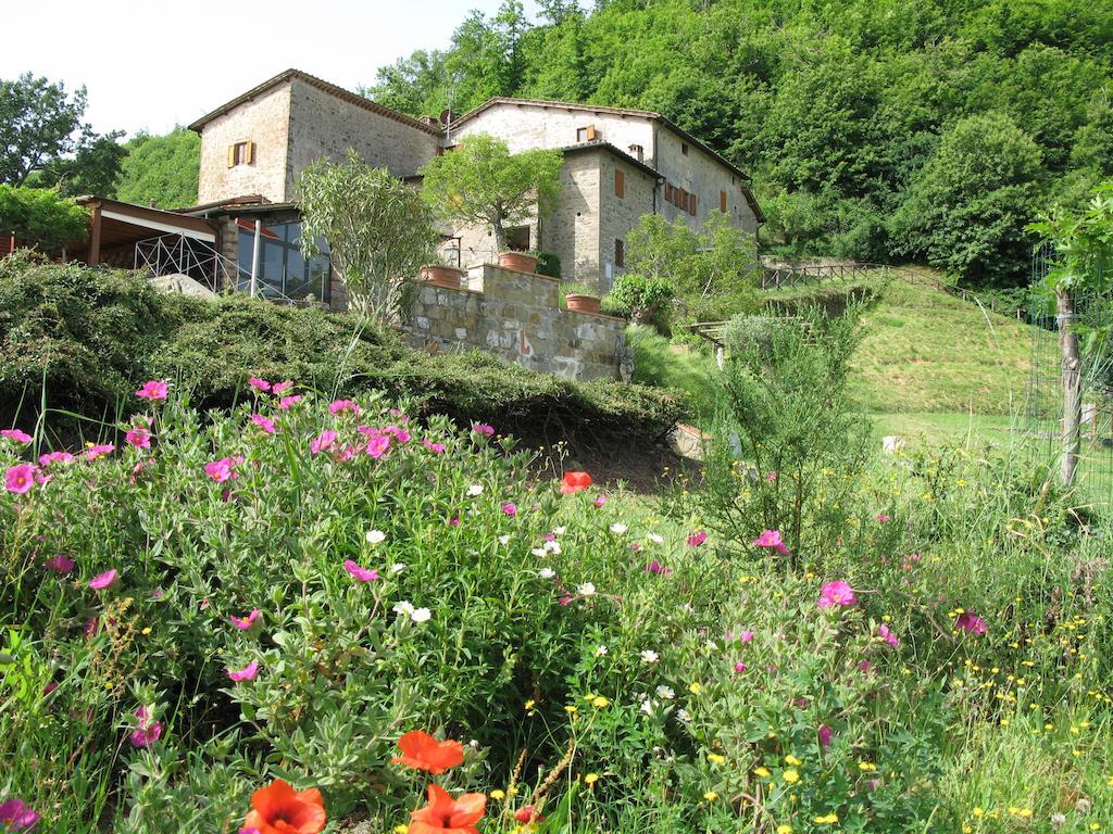 La Ghiandaia Casa Vacanza Lucolena in Chianti Экстерьер фото