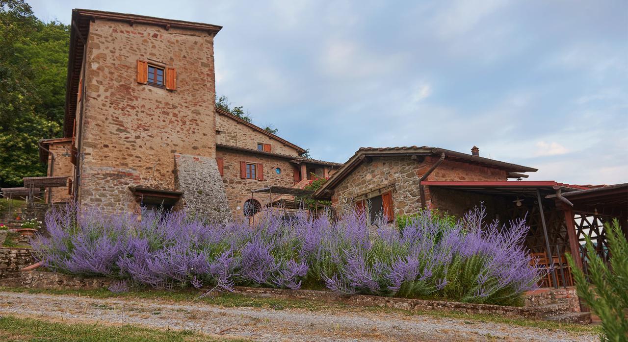 La Ghiandaia Casa Vacanza Lucolena in Chianti Экстерьер фото